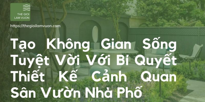 Tạo không gian sống tuyệt vời với bí quyết thiết kế cảnh quan sân vườn nhà phố 48 Thiết Kế Cảnh Quan Sân Vườn Nhà Phố: Bí Quyết Tạo Không Gian Sống Tuyệt Vời