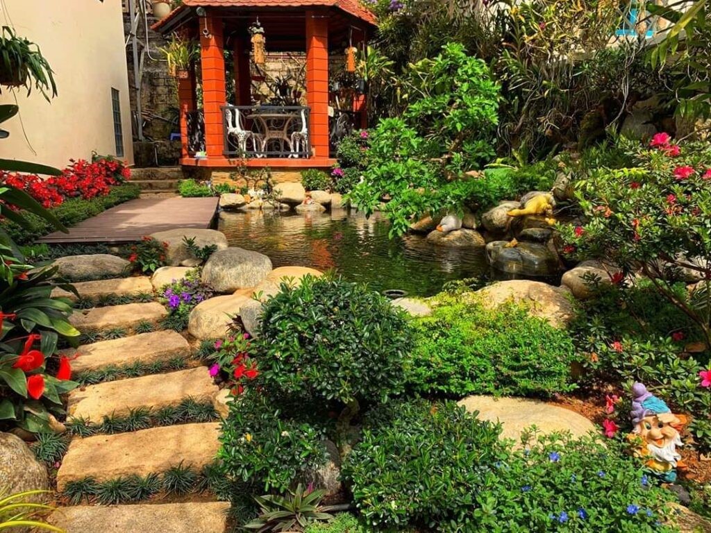 Hướng dẫn thiết kế hồ cá trong sân vườn đẹp mắt 9 Hướng Dẫn Thiết Kế Hồ Cá Trong Sân Vườn Đẹp Mắt