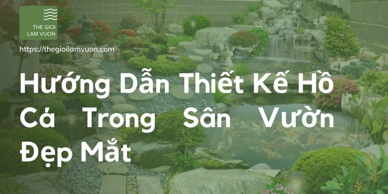 Hướng dẫn thiết kế hồ cá trong sân vườn đẹp mắt 29 Hướng Dẫn Thiết Kế Hồ Cá Trong Sân Vườn Đẹp Mắt