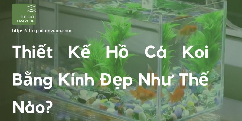 Thiết kế hồ cá koi bằng kính đẹp như thế nào? 41 Thiết Kế Hồ Cá Koi Bằng Kính Đẹp Như Thế Nào?