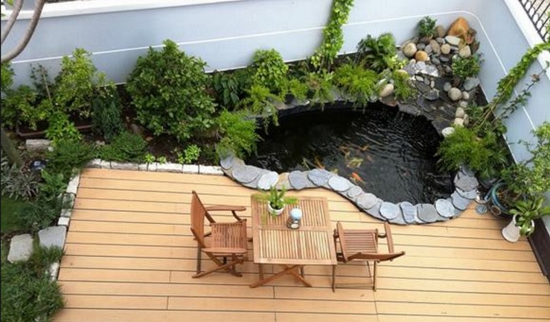 Hướng dẫn thiết kế hồ cá trong sân vườn chi tiết từ a – z 8 Hướng Dẫn Thiết Kế Hồ Cá Trong Sân Vườn Chi Tiết Từ A – Z