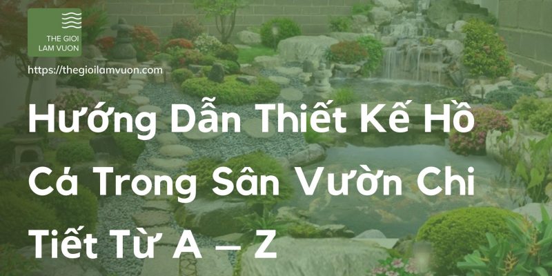 Hướng dẫn thiết kế hồ cá trong sân vườn chi tiết từ a – z 35 Hướng Dẫn Thiết Kế Hồ Cá Trong Sân Vườn Chi Tiết Từ A – Z
