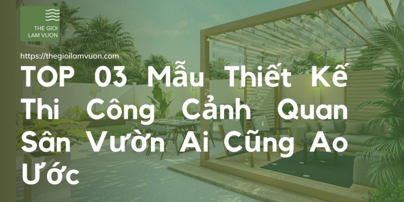 Top 03 mẫu thiết kế thi công cảnh quan sân vườn ai cũng ao ước 61 thiet ke thi cong canh quan san vuon