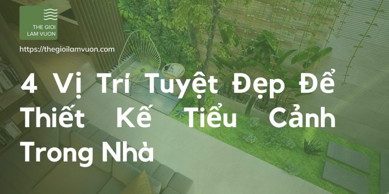 4 vị trí tuyệt đẹp để thiết kế tiểu cảnh trong nhà 44 4 Vị Trí Tuyệt Đẹp Để Thiết Kế Tiểu Cảnh Trong Nhà