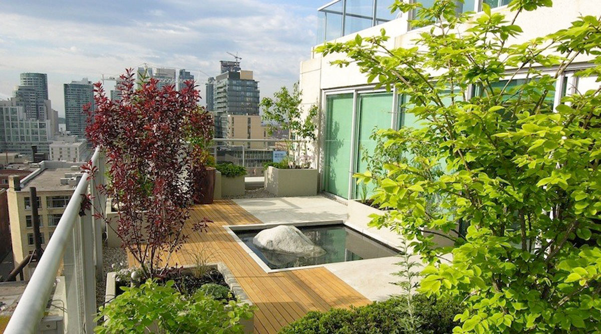 Trồng cây ban công sân thượng cần phải lưu ý những điều gì? 8 Trồng Cây Ban Công Sân Thượng Cần Phải Lưu Ý Những Điều Gì?