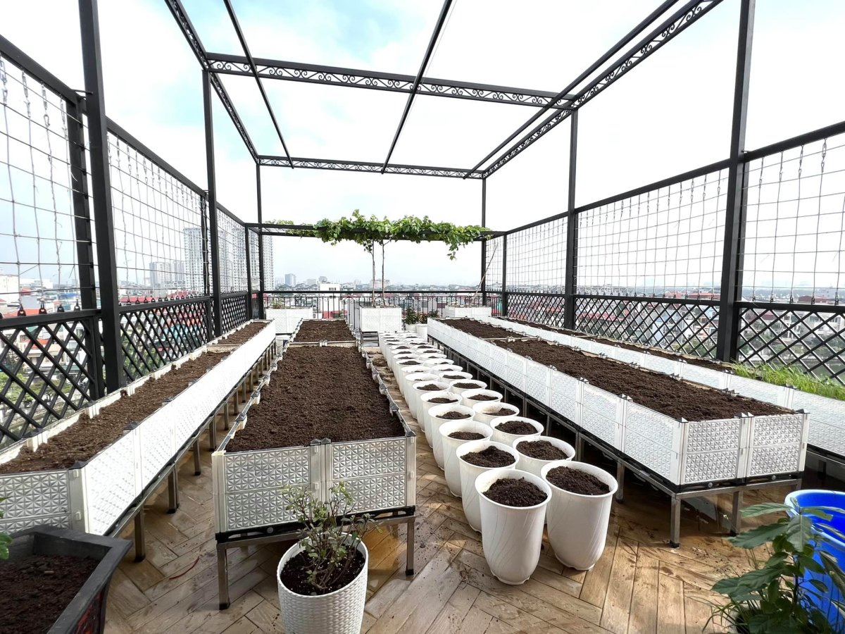 Trồng Rau Trên Sân Thượng Phải Nhớ Những Kỹ Thuật Này