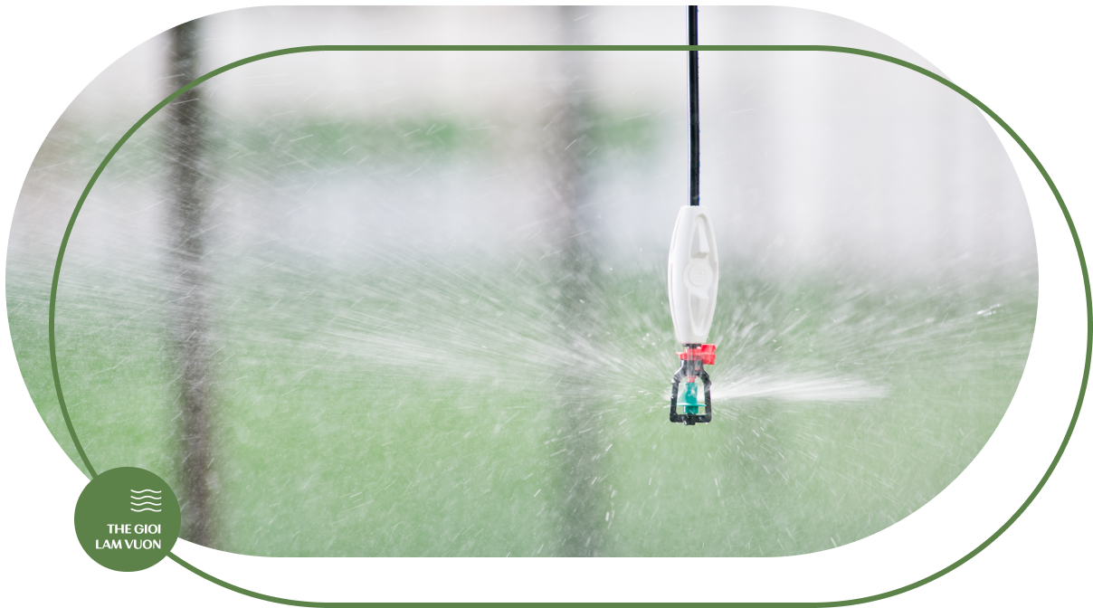 Giai phap tuoi phun suong cho nha kinh nha mang