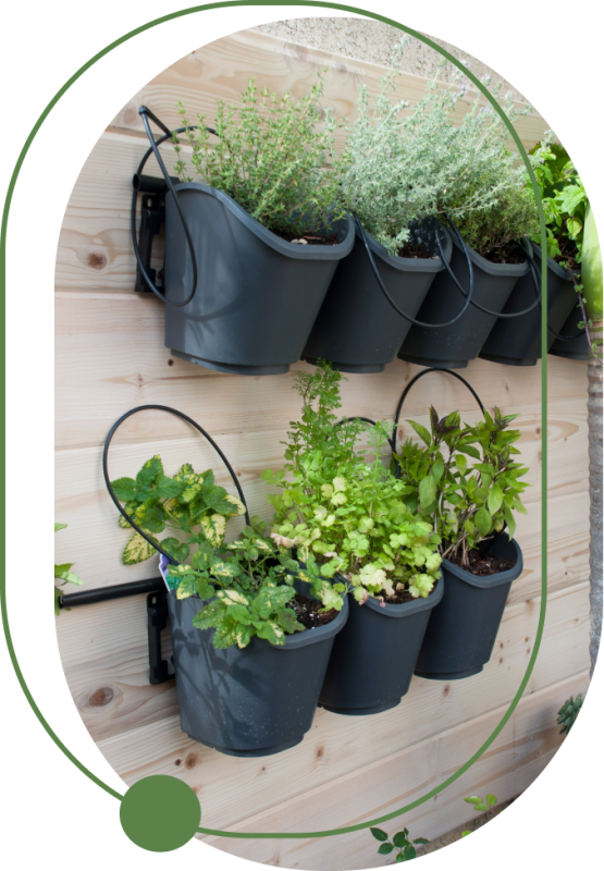 Giai phap tuoi vuon tuong 03