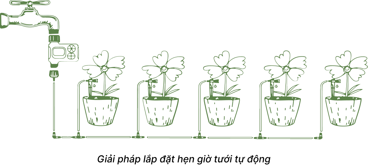 Lắp đặt hệ thống tưới nhỏ giọt cho cây trồng chậu với hẹn giờ tưới