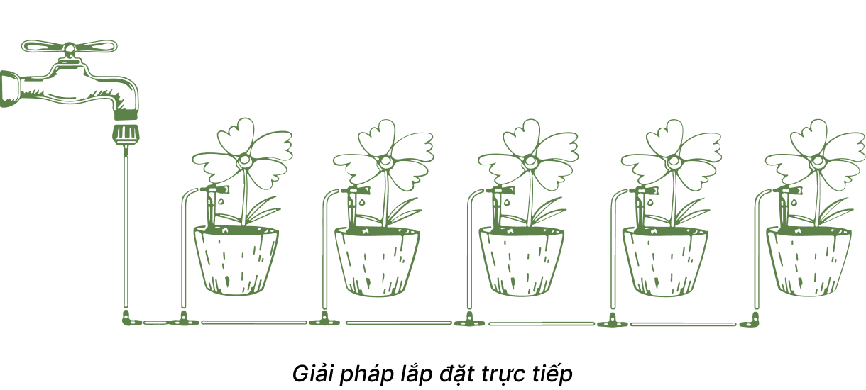 Lắp đặt hệ thống tưới nhỏ giọt cho cây trồng chậu