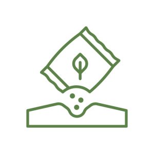 Phân bón dưỡng chất