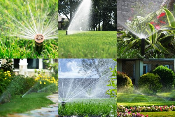 Bộ tưới cây tự động - sự lựa chọn hoàn hảo từ công ty nhiệt đới 65 Bộ tưới cây tự động