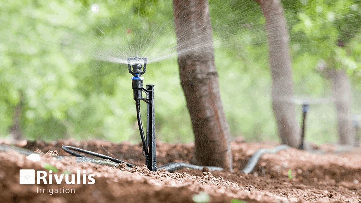 Tìm hiểu các loại béc tưới cây phổ biến hiện nay 6 Tìm Hiểu Các Loại Béc Tưới Cây Phổ Biến Hiện Nay