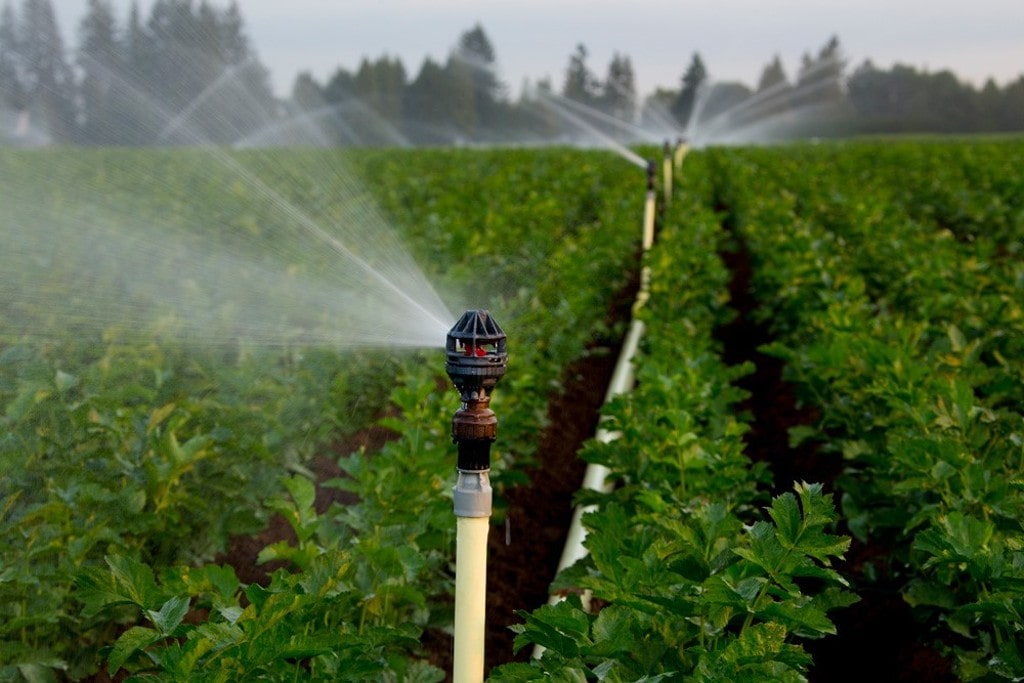 Tìm hiểu các loại béc tưới cây phổ biến hiện nay 10 Tìm Hiểu Các Loại Béc Tưới Cây Phổ Biến Hiện Nay