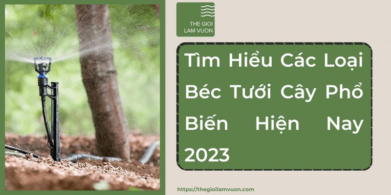 Tìm hiểu các loại béc tưới cây phổ biến hiện nay 33 Tìm Hiểu Các Loại Béc Tưới Cây Phổ Biến Hiện Nay
