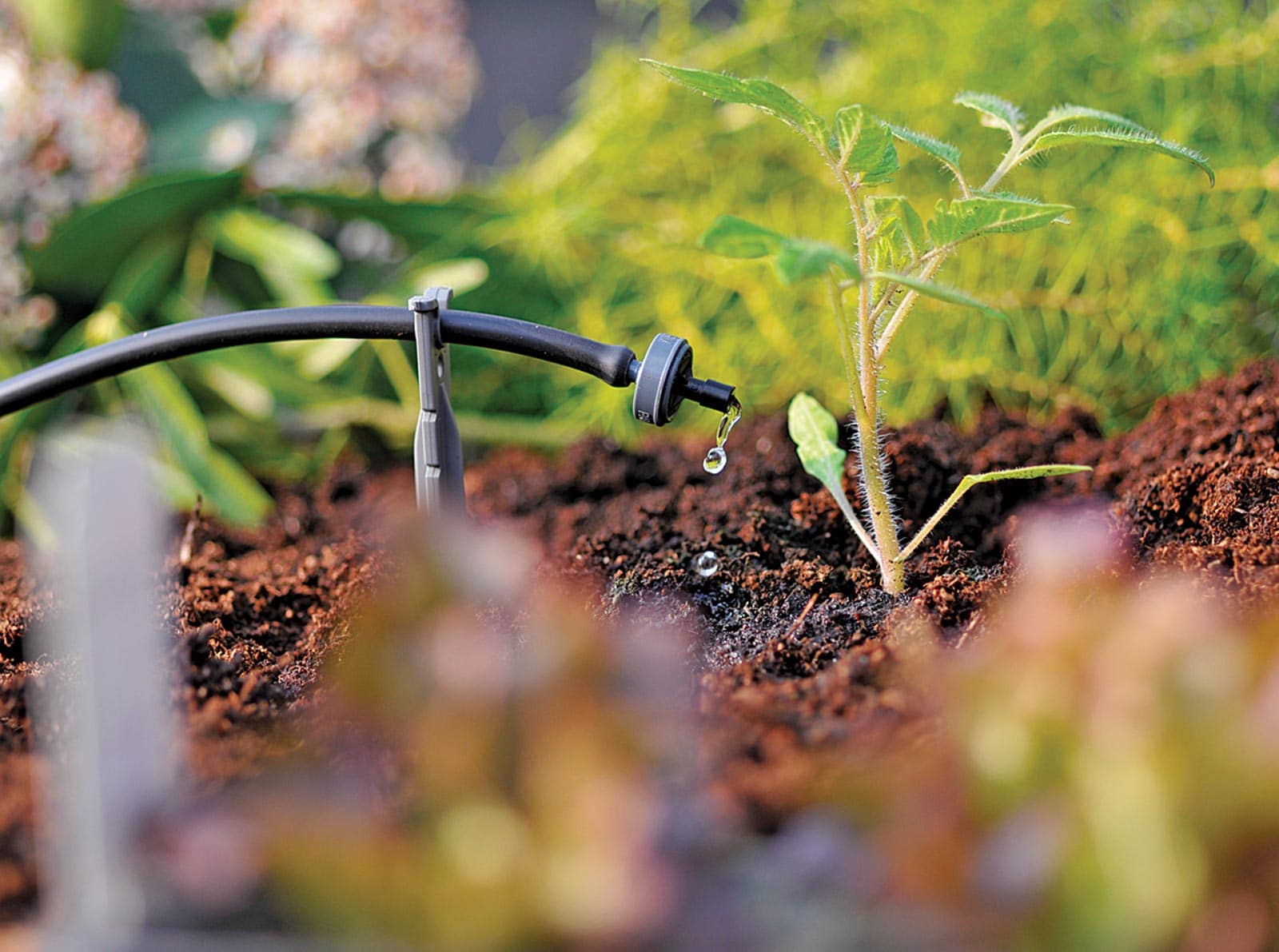 Hướng Dẫn Chi Tiết Cách Làm Hệ Thống Tưới Nhỏ Giọt