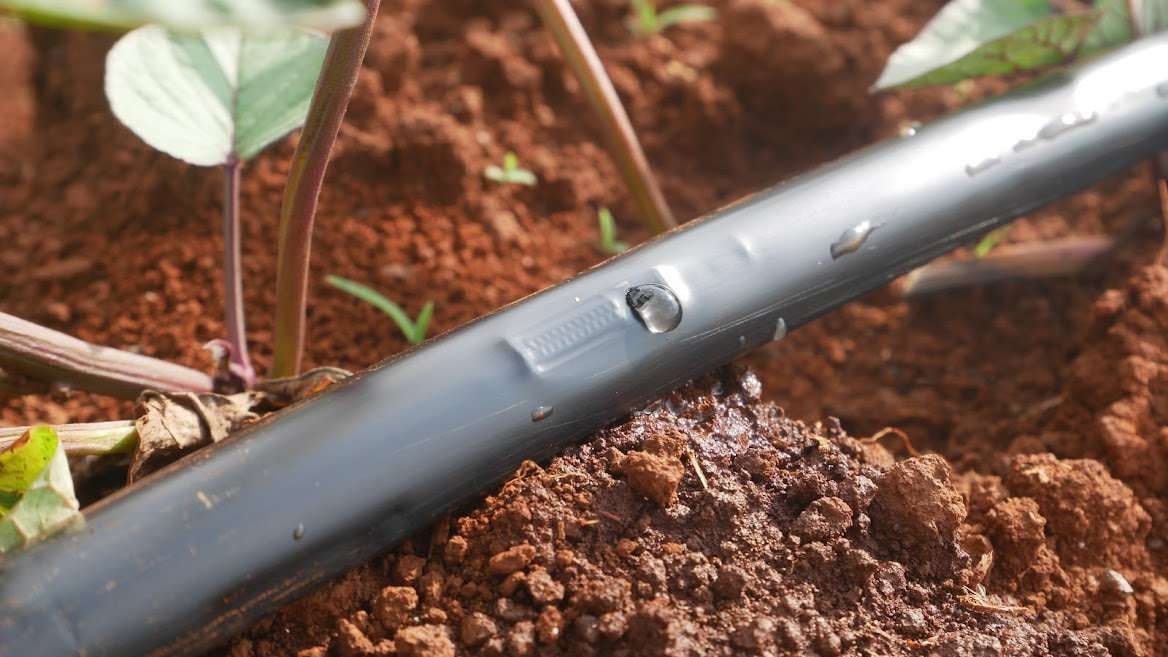 Hướng Dẫn Chi Tiết Cách Làm Hệ Thống Tưới Nhỏ Giọt