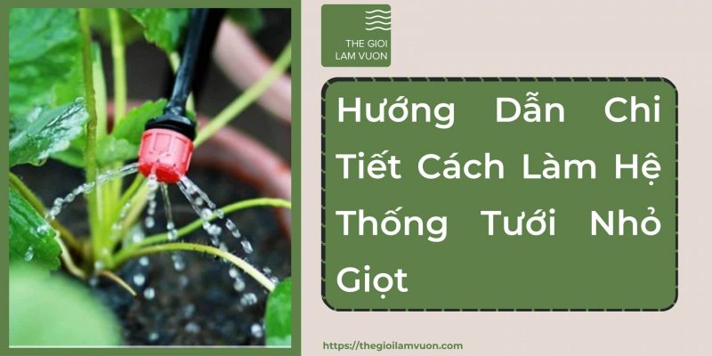 Hướng dẫn chi tiết cách làm hệ thống tưới nhỏ giọt 35 Hướng Dẫn Chi Tiết Cách Làm Hệ Thống Tưới Nhỏ Giọt