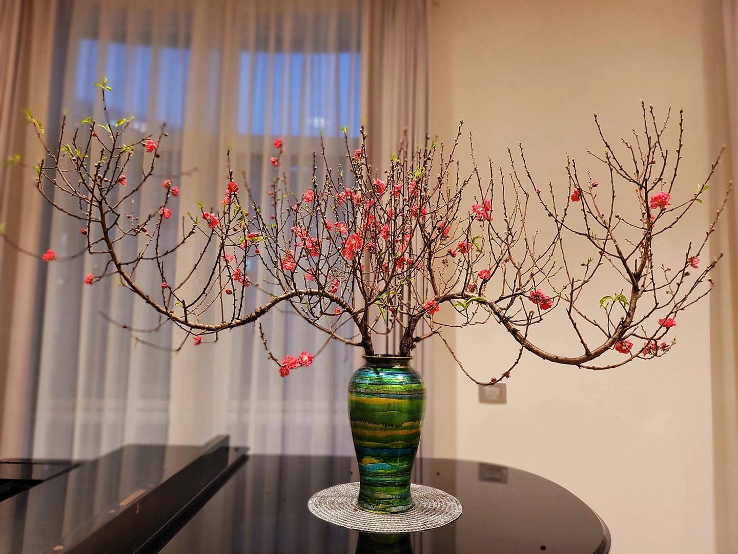 Cách tưới nước cho cây đào, cành đào ngày tết 5 Cách Tưới Nước Cho Cây Đào, Cành Đào Ngày Tết