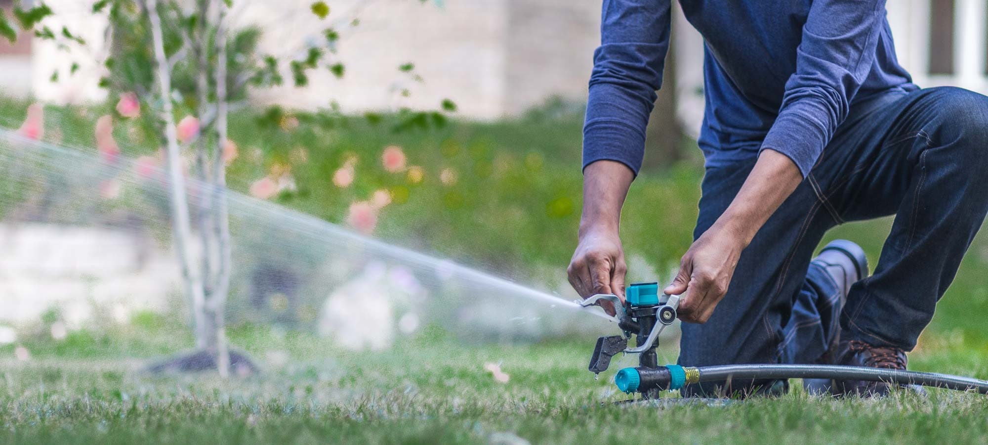 Cây Mới Trồng Có Nên Tưới Nước Không? Tầm Quan Trọng Của Việc Tưới Nước Cho Cây Mới Trồng