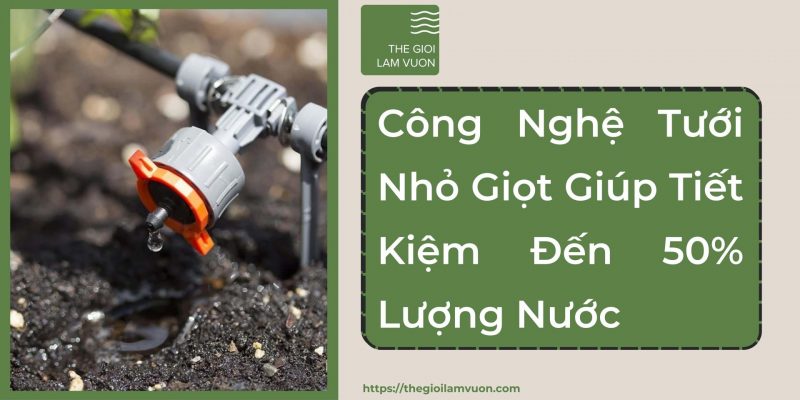 Công nghệ tưới nhỏ giọt giúp tiết kiệm đến 50% lượng nước 30 Công Nghệ Tưới Nhỏ Giọt Giúp Tiết Kiệm Đến 50% Lượng Nước