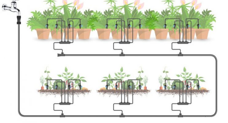 Lắp đặt hệ thống tưới cây ban công - giải pháp xanh từ công ty nhiệt đới 7 Lắp đặt hệ thống tưới cây ban công