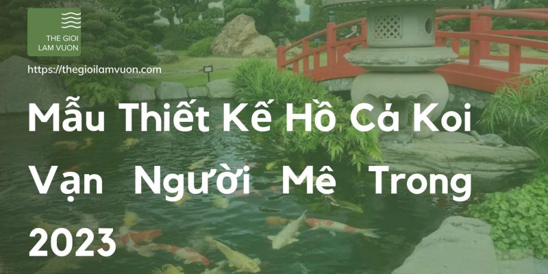 Mẫu thiết kế hồ cá koi vạn người mê trong 2023 32 Mẫu Thiết Kế Hồ Cá Koi Vạn Người Mê Trong 2023