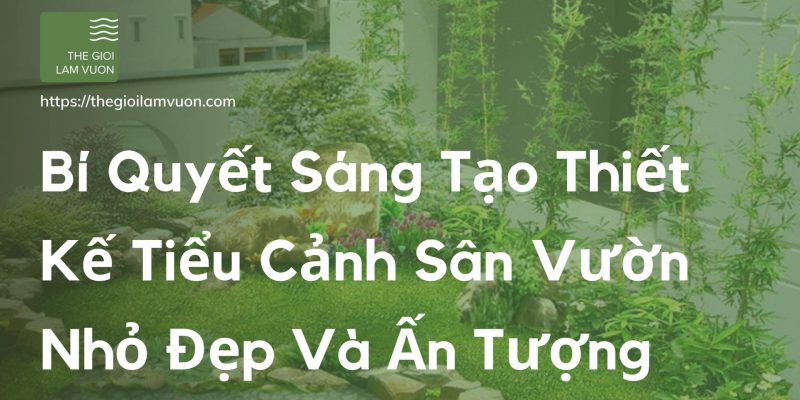 Bí quyết sáng tạo thiết kế tiểu cảnh sân vườn nhỏ đẹp và ấn tượng 46 Bí Quyết Sáng Tạo Thiết Kế Tiểu Cảnh Sân Vườn Nhỏ Đẹp Và Ấn Tượng