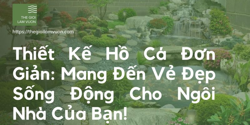 Thiết kế hồ cá đơn giản: mang đến vẻ đẹp sống động cho ngôi nhà của bạn! 35 Thiết Kế Hồ Cá Đơn Giản: Mang Đến Vẻ Đẹp Sống Động Cho Ngôi Nhà Của Bạn!