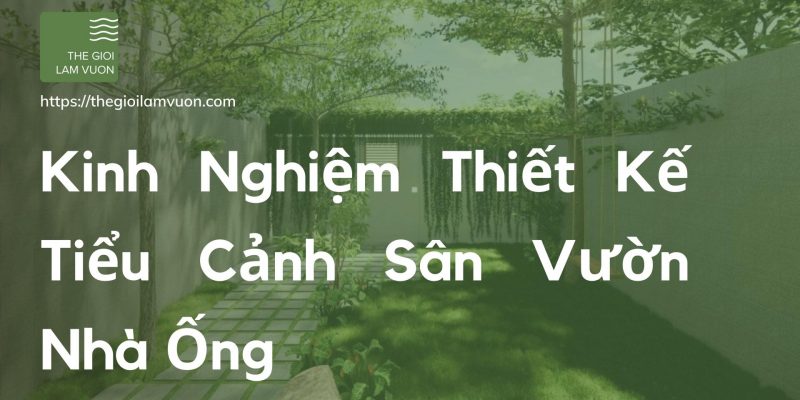 Kinh nghiệm thiết kế tiểu cảnh sân vườn nhà ống 44 Kinh Nghiệm Thiết Kế Tiểu Cảnh Sân Vườn Nhà Ống
