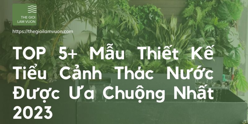 Top 5+ mẫu thiết kế tiểu cảnh thác nước được ưa chuộng nhất 2023 40 TOP 5+ Mẫu Thiết Kế Tiểu Cảnh Thác Nước Được Ưa Chuộng Nhất 2023