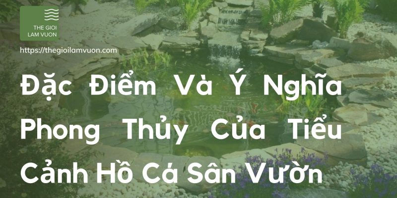 Đặc điểm và ý nghĩa phong thủy của tiểu cảnh hồ cá sân vườn 43 Đặc Điểm Và Ý Nghĩa Phong Thủy Của Tiểu Cảnh Hồ Cá Sân Vườn
