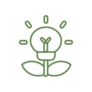 Trang trí sân vườn