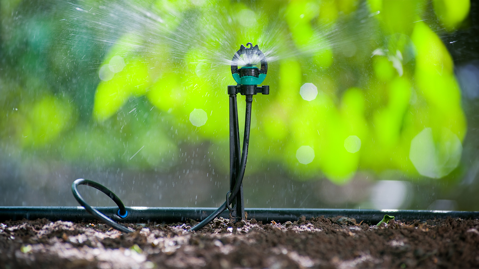 Đầu tưới rivulis s2000 bù áp 1 Bộ đầu tưới s2000 (1)