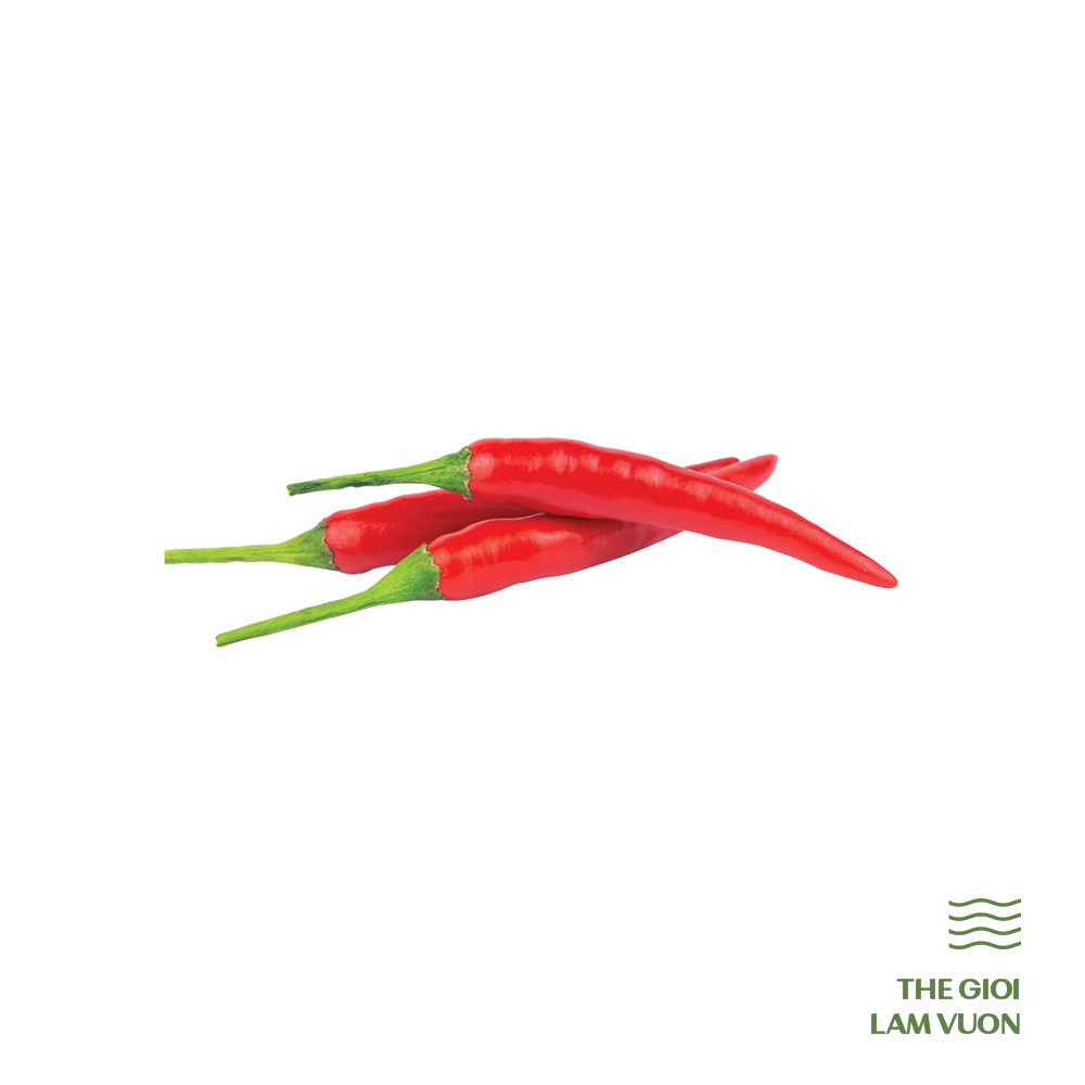 Cây ớt hiểm - Thế Giới Làm Vườn