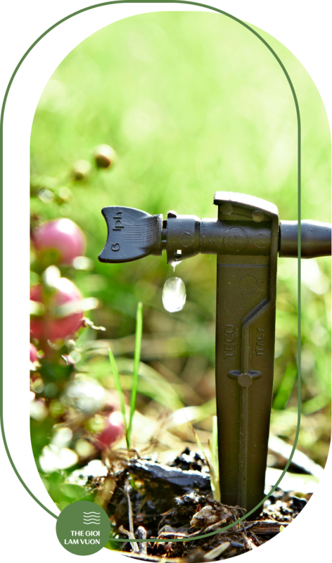 Giai phap tuoi cay trong chau vertical