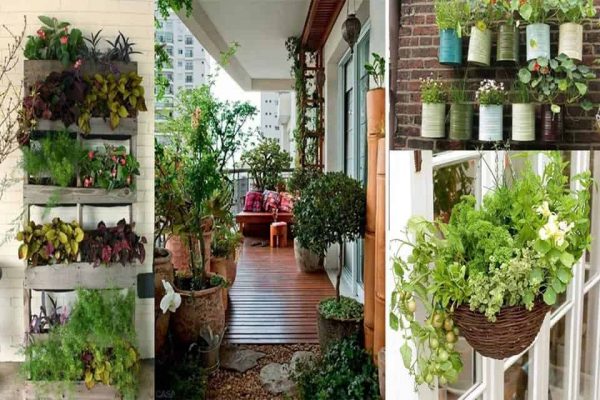 Hệ thống tưới cây chung cư 43 Hệ thống tưới cây chung cư