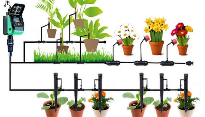 Hệ thống tưới cây chung cư