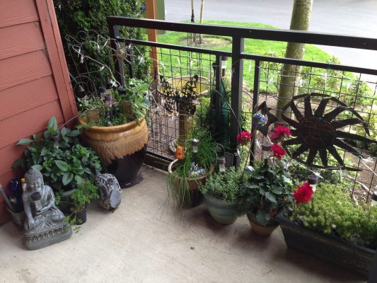 Hệ thống tưới thông minh ban công, giải pháp hiện đại từ công ty nhiệt đới 8 Hệ thống tưới thông minh ban công