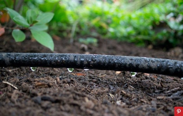 lap dat he thong tuoi gio giot 1