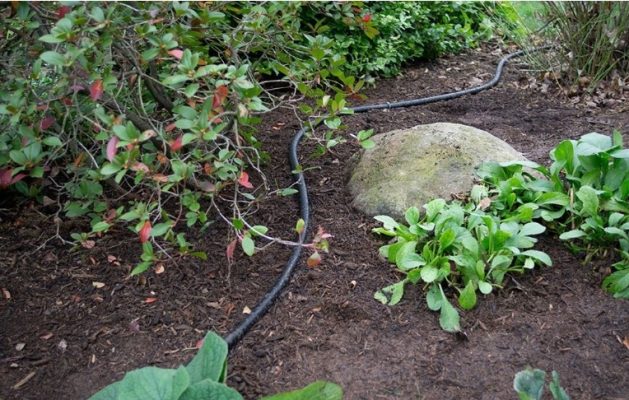 lap dat he thong tuoi gio giot 3