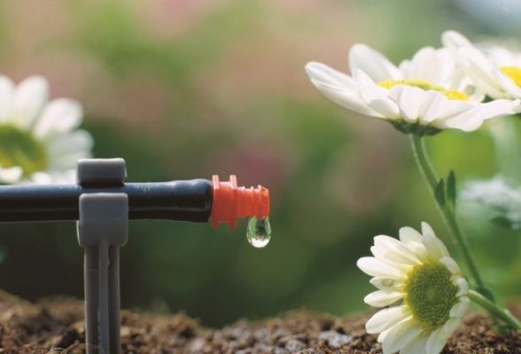 lap dat he thong tuoi gio giot 4