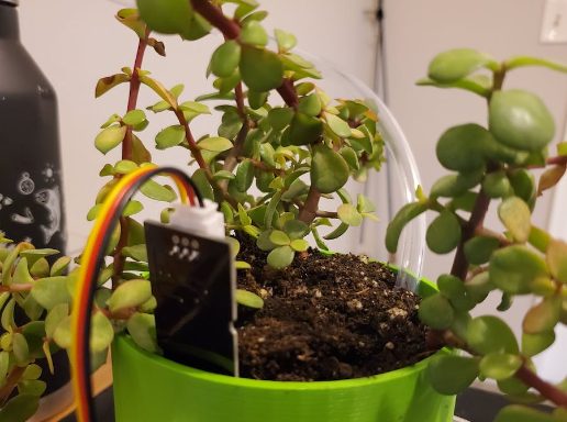 Thiết bị tưới cây thông minh