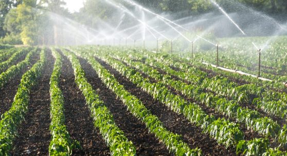 thiet bi tuoi cay thong minh 3