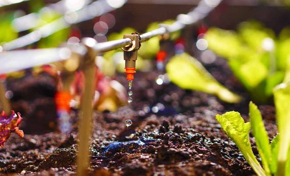 Thiết bị tưới cây thông minh