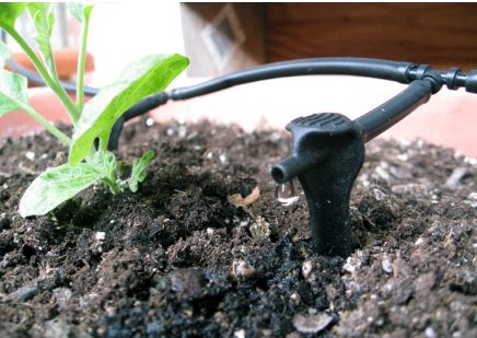 Tưới cây tự động chung cư, giải pháp thông minh số 1 từ công ty nhiệt đới 8 tuoi cay tu dong chung cu 3