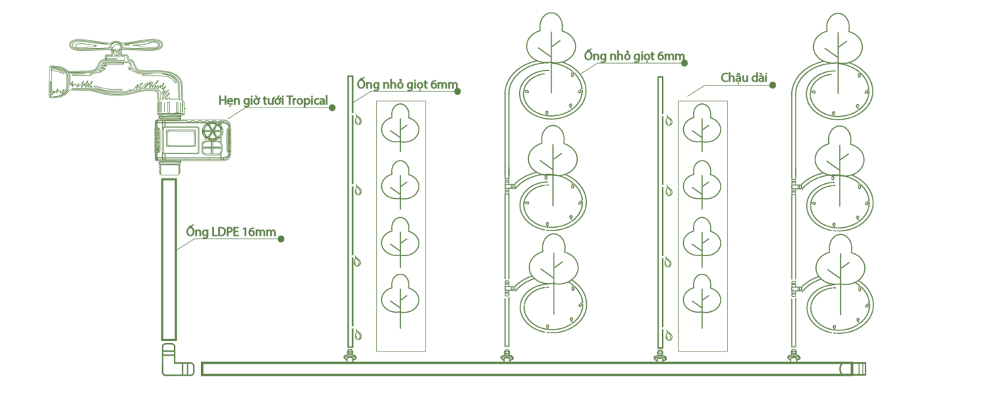 Tuoi cay trong trong chau bang ong tuoi nho giot