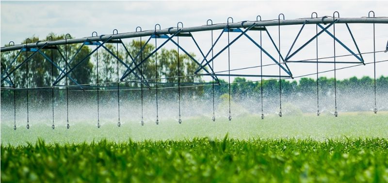 Hệ thống tưới rau thông minh của công ty nhiệt đới 57 tuoi cay 6