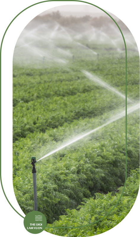 Tính tổn hao áp suất trên đường ống gắn béc tưới 2 Tinh thoi gian tuoi