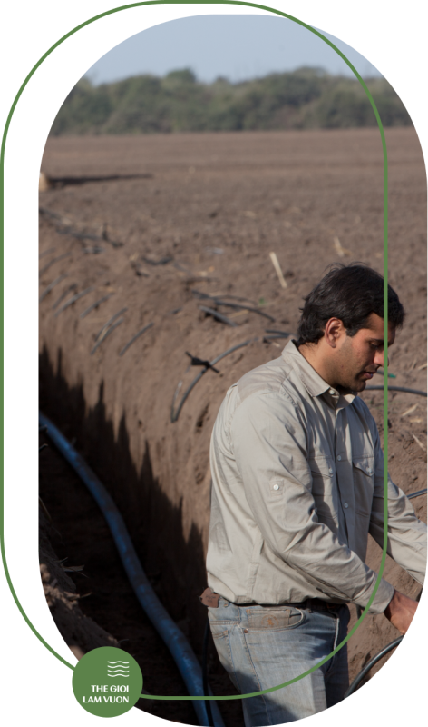 Tinh toan trong he thong tuoi